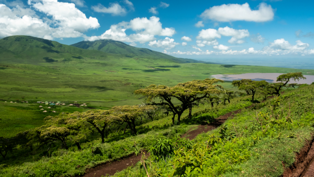 Natural Resources as a source of Economy of Africa