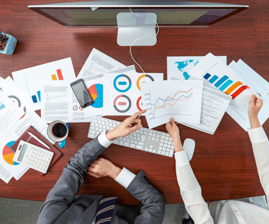 statistical analysis