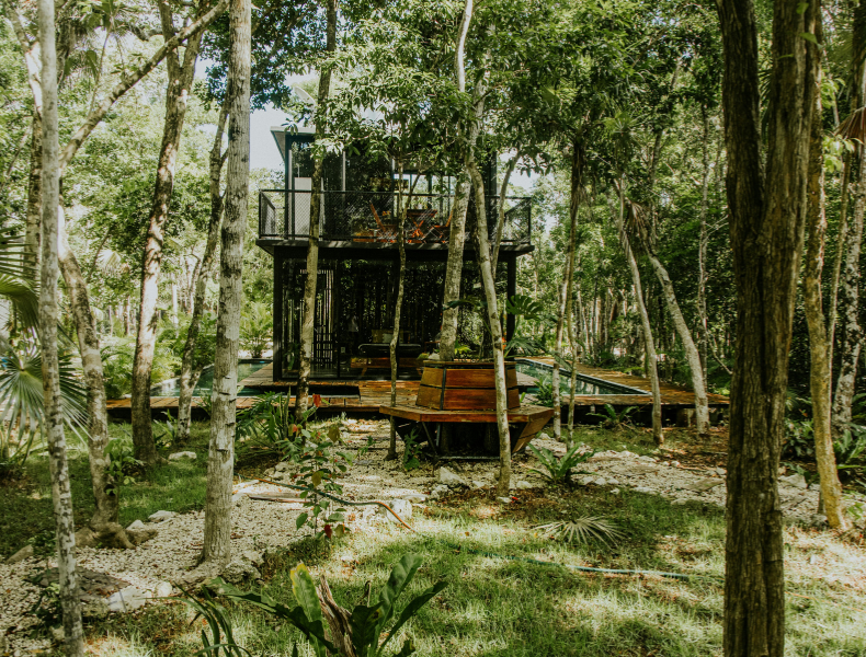 Wellness & Mindful Tourism -Retreats, mental-health focused trips, serenity travel